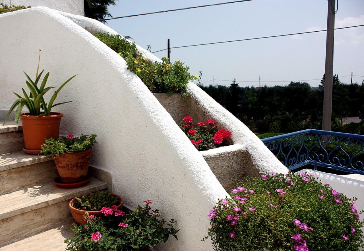 Patty Green House Castellana Grotte Exterior photo